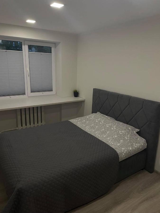 Butas Miesto Centre Apartment Panevezys Bagian luar foto